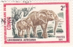 Stamps : Africa : Republic_of_the_Congo :  Elefantes