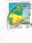 Stamps : Africa : Uganda :  Aves - Chrysococcys cypreus