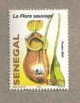 Stamps : Africa : Senegal :  La flora espontánea