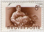 Stamps Hungary -  256 Agricultor