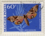 Sellos de Europa - Hungr�a -  267 Mariposa