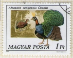 Stamps Hungary -  269 Afropavo congensis Chapin