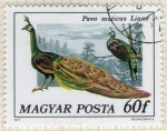 Stamps Hungary -  271 Pavo muticus Linné