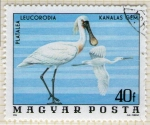Stamps Hungary -  273 Platalea leucorodia