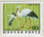Stamps Hungary -  274 Ciconia Ciconia