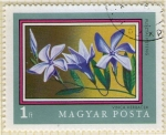Stamps Hungary -  276 Vinca Herbacea