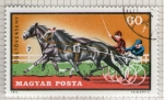 Stamps Hungary -  297 Carreras de caballos
