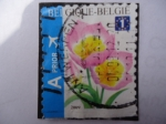 Stamps : Europe : Belgium :  Flor de Tulipán - Tulip Bakeri selfadh.