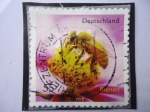 Stamps Germany -  Bienen.