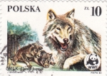 Stamps Poland -  CANIS LUPUS- WWF