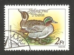 Stamps Hungary -   3173 - pato anas crecca