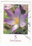Stamps Germany -  FLORES- KROKUS