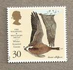 Stamps United Kingdom -  Aves