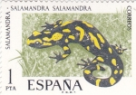 Stamps Spain -  Salamandra-FAUNA HISPÁNICA  (y)