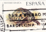 Stamps Spain -  Tortuga Terrestre-FAUNA HISPÁNICA  (y)