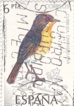 Stamps Spain -  Curruca Carrasqueña      (y)