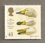 Stamps United Kingdom -  Aves