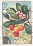 Stamps Spain -  FLORA- Madroño      (y)
