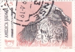 Stamps Spain -  UPAEP- Quebrantahuesos  (y)