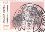 Stamps Spain -  UPAEP- Quebrantahuesos  (y)