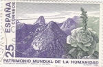 Stamps Spain -  Patrimonio Mundial de la Humanidad-Parque de Garajonay y Aeonio. La Gomera   (Y) 