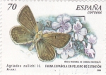Stamps Spain -  Fauna Española en Peligro de Extinción-Agriades  Zullichi   (Y)