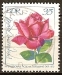 Sellos de Europa - Alemania -  Exposición Internacional de Rosas.DDR 1972 Profesor Knoell - rosa roja.