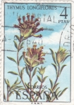 Stamps Spain -  FLORA- Thimus Longiflorus  (y)