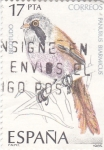 Stamps Spain -  Bigotudo   (Y)
