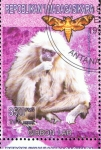 Stamps Madagascar -  Gibbon Lar