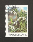 Stamps Russia -  Flores de primavera