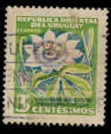 Stamps Uruguay -  pasionaria