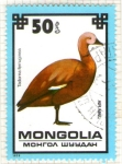 Sellos del Mundo : Asia : Mongolia : 12  Tadorna ferruginea