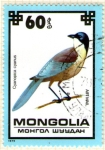 Stamps : Asia : Mongolia :  13  Cyanopica cyanus