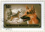 Stamps : Asia : Mongolia :  61  Pastor alemán