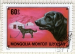 Stamps Mongolia -  62  Fauna