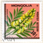 Stamps Mongolia -  72  Sophora alopecuroides