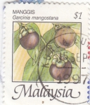 Stamps : Asia : Malaysia :  Manggis- Garcinia mangostana