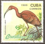 Sellos del Mundo : America : Cuba : EUDOCIMUS  RUBER