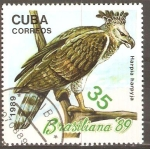 Sellos de America - Cuba -  HARPIA  HARPYJA