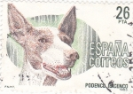Stamps Spain -  Podenco Ibérico  (Z)