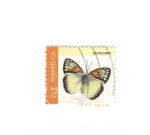 Stamps Africa - Gambia -  Mariposas