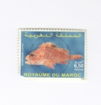 Stamps Morocco -  Reino de Marruecos
