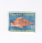 Sellos de Africa - Marruecos -  Reino de Marruecos