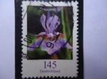 Stamps Germany -  Flor de Iris