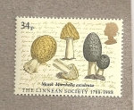 Stamps Europe - United Kingdom -  Sociedad linneana