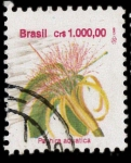 Stamps Brazil -  pachira Aquatica