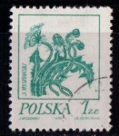 Stamps : Europe : Poland :  Flores