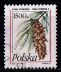 Stamps Poland -  Pino