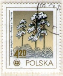 Sellos de Europa - Polonia -  6 Pinus silvestris